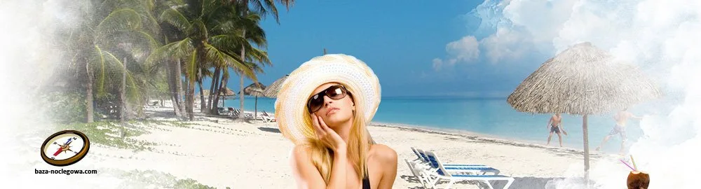 Do sprzedania portal zarobkowy wraz z domeną http://baza-noclegowa.com/